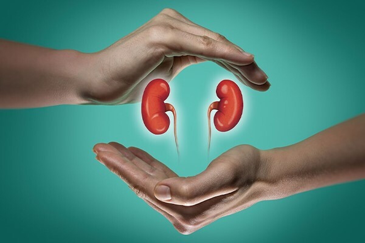 برای سلامت کلیهها چه بخوریم؟