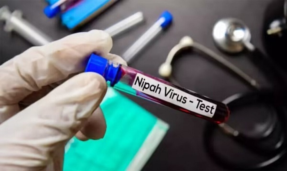 ویروس «نیپا» چیست و چقدر نگران کننده است؟