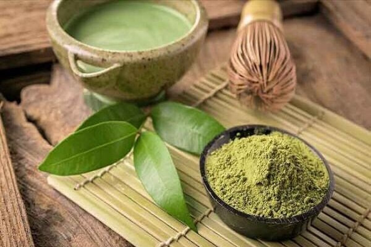 سدر در طب سنتی چه فوایدی دارد؟