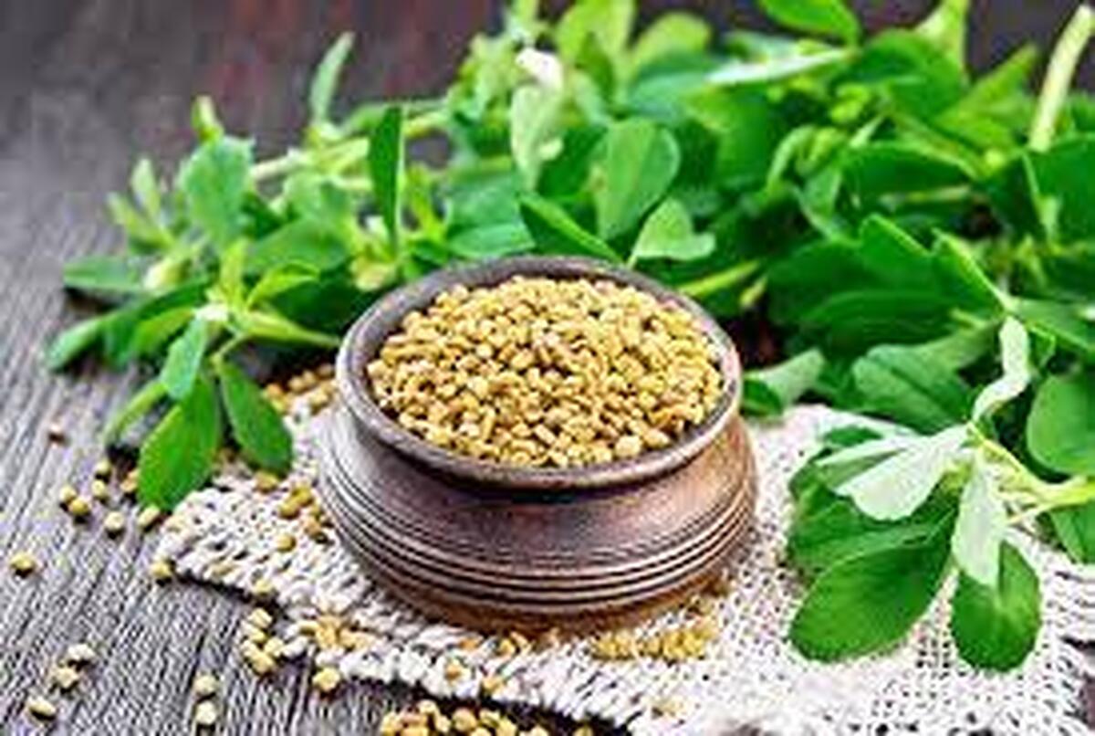 گیاهی که باورتان نمیشود ضد کلسترول و قند باشد