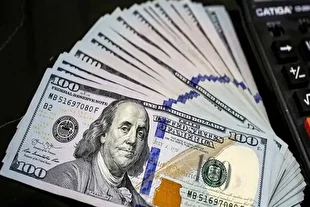 قیمت دلار امروز شنبه 26 مهر 1404 / کاهش 2500 تومانی قیمت دلار در نخستین روز معاملاتی هفته