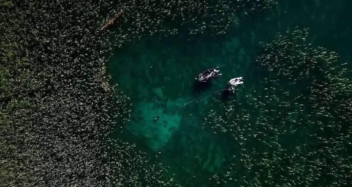 کشف یک دریاچه آب شیرین زیرزمینی ۸۰۰۰۰۰ ساله در یونان