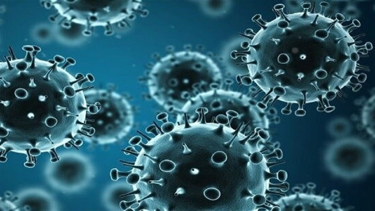 آنتی‌بیوتیک و دارو‌های گیاهی درمان آنفلوآنزا نیستند